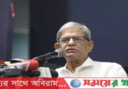 অনির্বাচিত সরকার দীর্ঘদিন দেশ পরিচালনার দায়িত্বে থাকতে পারে না: মির্জা ফখরুল